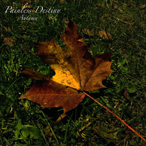 成视频在线播放免费人成
